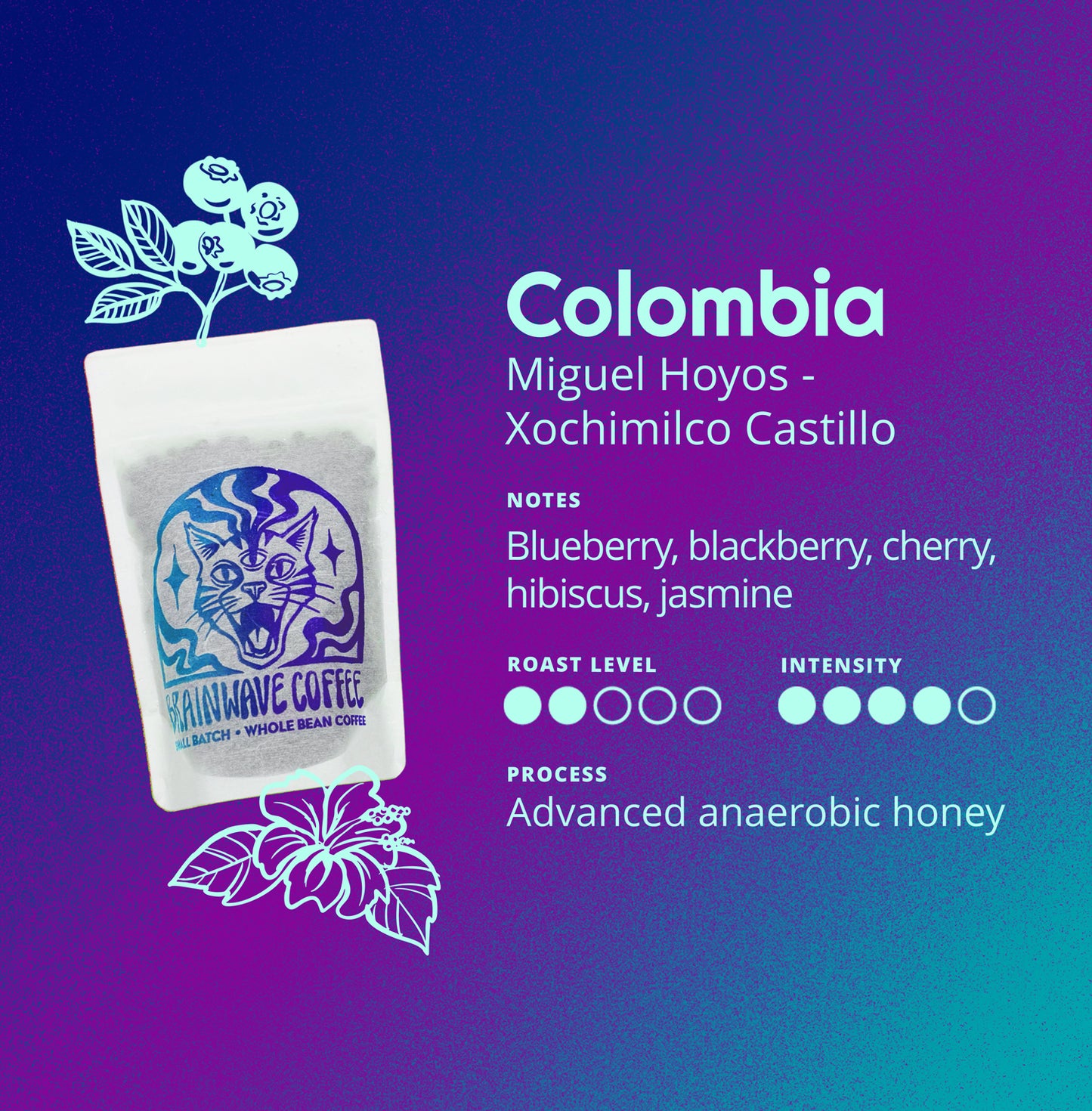Colombia | Miguel Hoyos - Xochimilco Castillo