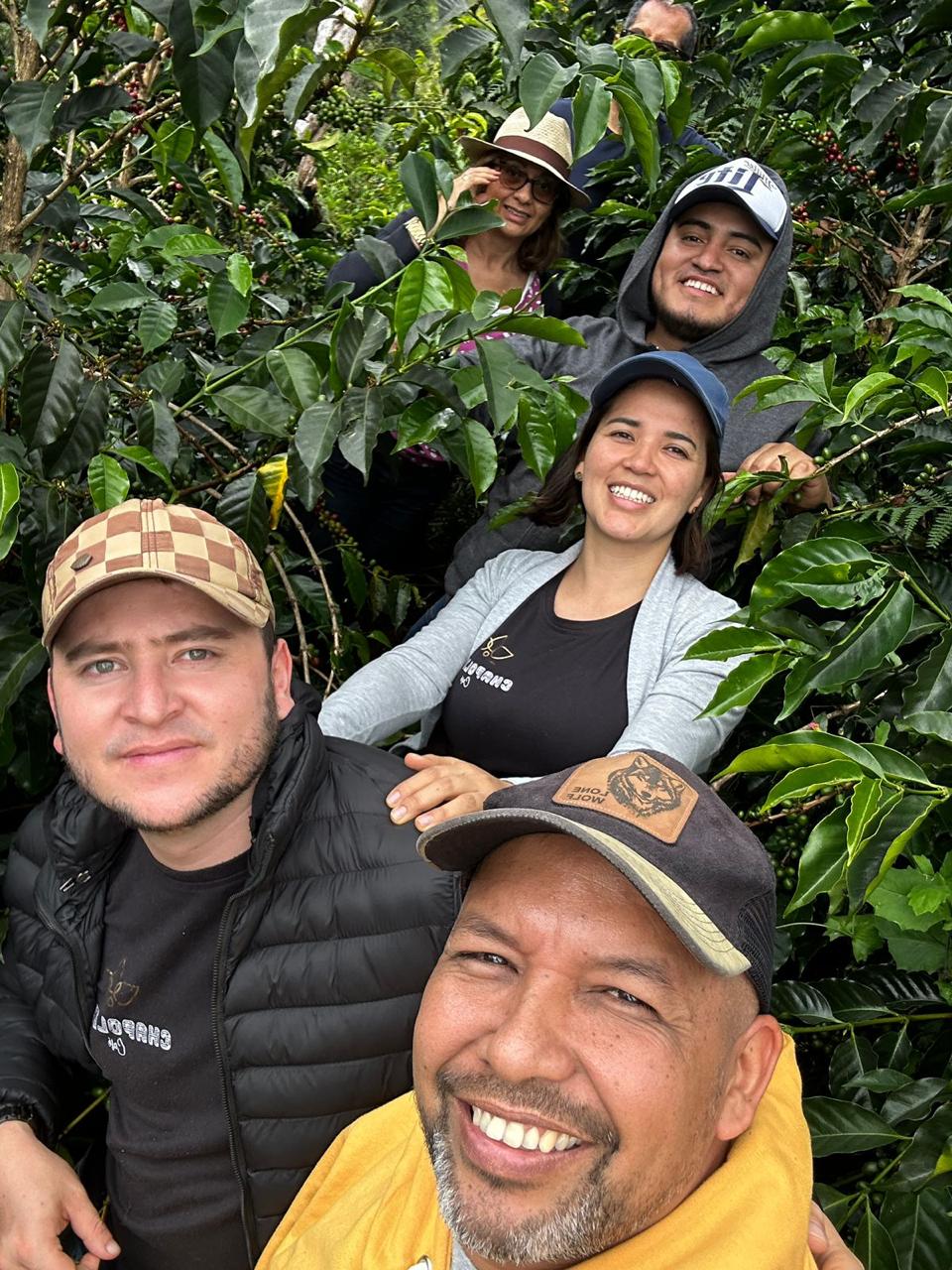 Colombia | Chapolera JYH - Natural Gesha – Brainwave Coffee Roasters