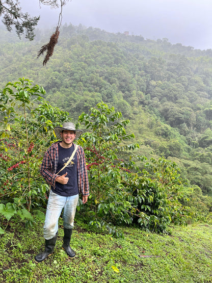 Colombia | Finca la Argelia Maragogype