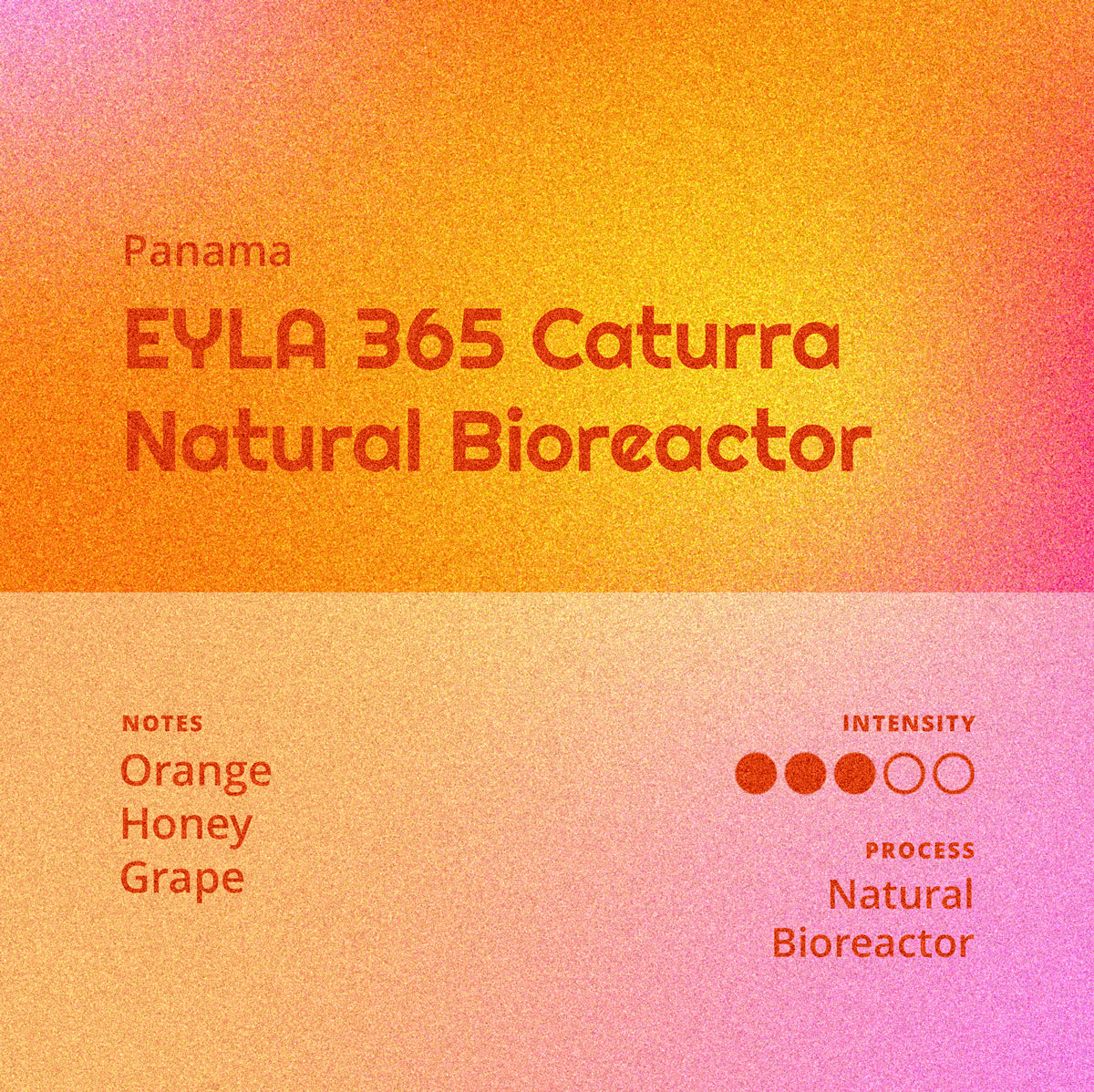 Panama | EYLA 365 - Caturra Natural Bioreactor