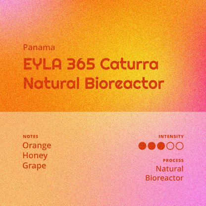 Panama | EYLA 365 - Caturra Natural Bioreactor
