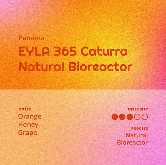 Panama | EYLA 365 - Caturra Natural Bioreactor