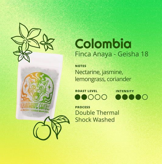 Colombia | Finca Anaya - Geisha 18