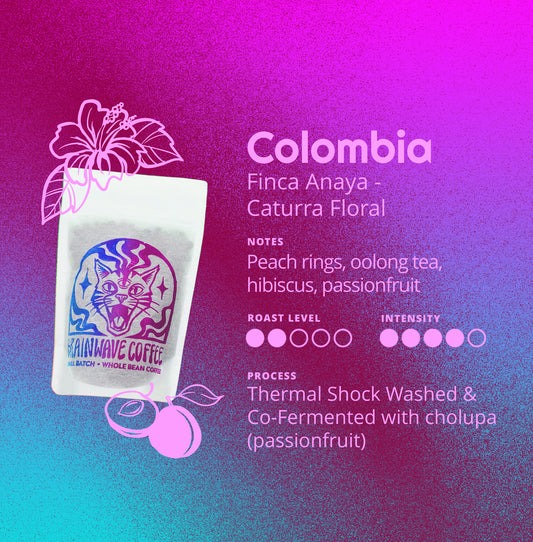 Colombia | Finca Anaya - Caturra Floral