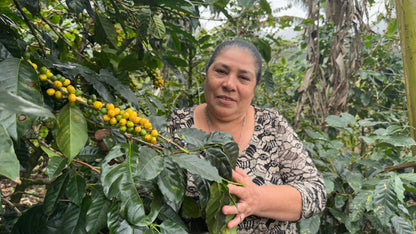 Nicaragua | Blanca Nieve - The Reds (Roasted 9/17)