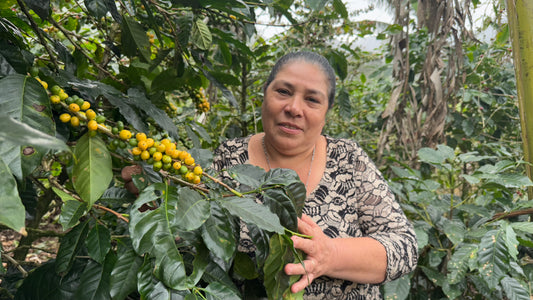 Nicaragua | Blanca Nieve - The Reds (Roasted 9/17)