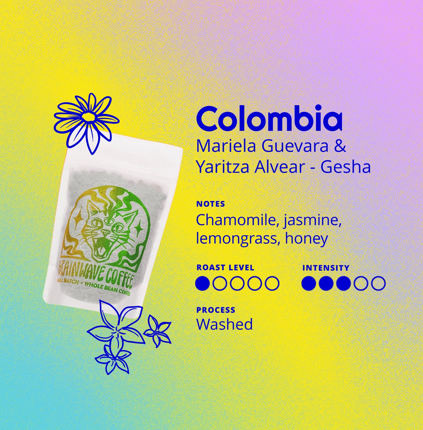 Colombia | Mariela Guevara & Yaritza Alvear - Washed Gesha
