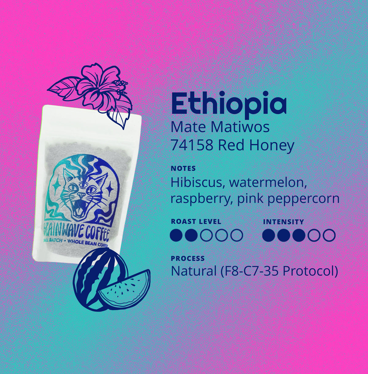 Ethiopia | Mate Matiwos - 74158 Red Honey