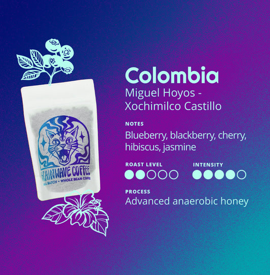 Colombia | Miguel Hoyos - Xochimilco Castillo