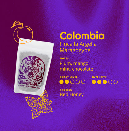 Colombia | Finca la Argelia Maragogype