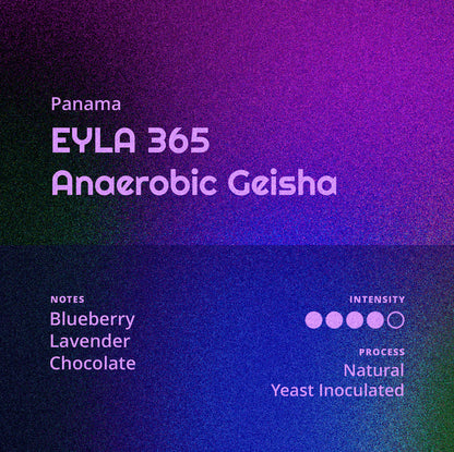 Panama | EYLA 365 - Anaerobic Geisha