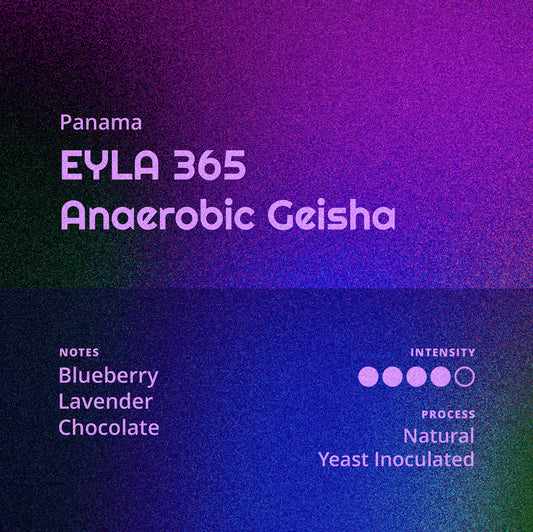 Panama | EYLA 365 - Anaerobic Geisha
