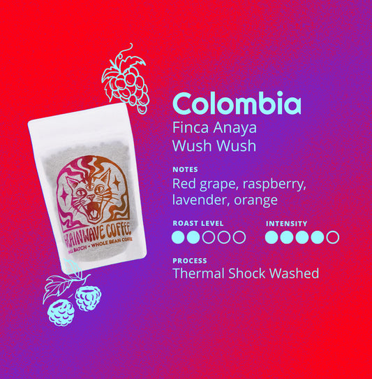 Colombia | Finca Anaya - Wush Wush