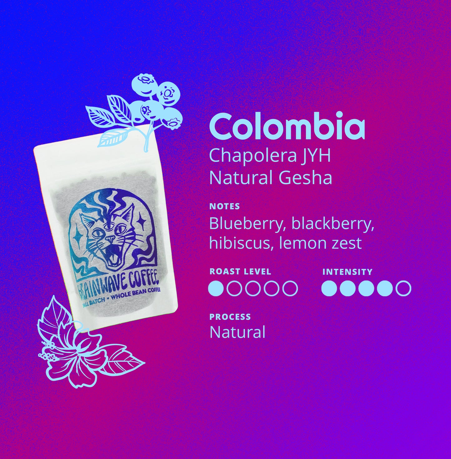 Colombia | Chapolera JYH - Natural Gesha