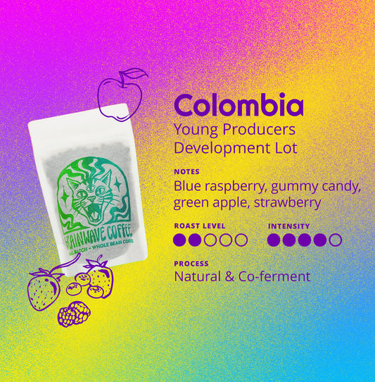 Colombia | Young Producers Development Lot