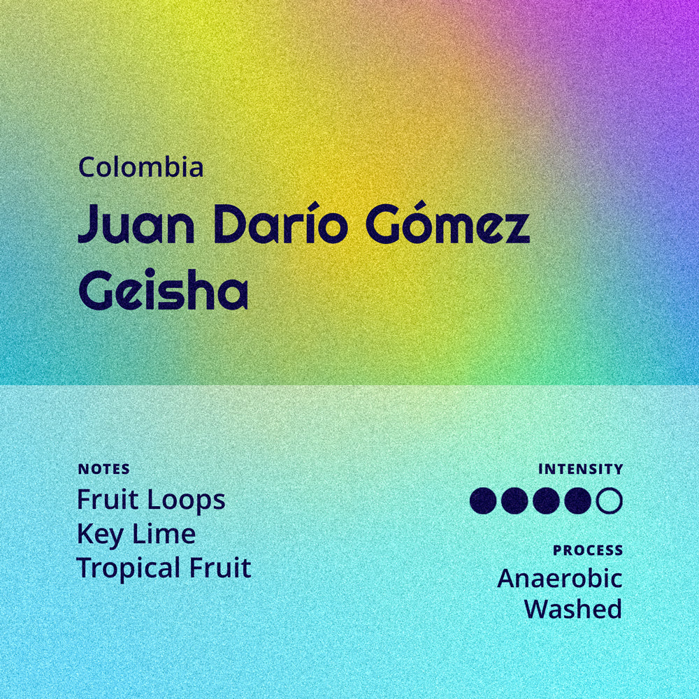 Colombia | Juan Dario Gomez - Geisha