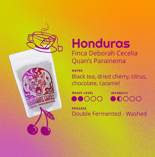 Honduras | Finca Deborah - Cecelia Quan's Parainema