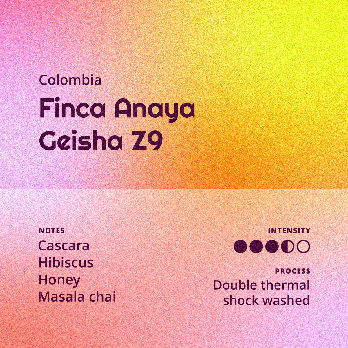 Colombia | Finca Anaya - Geisha Z9