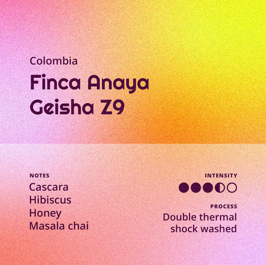 Colombia | Finca Anaya - Geisha Z9