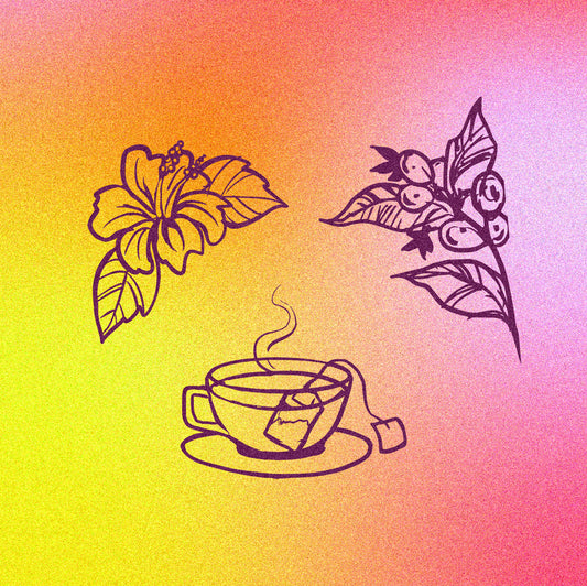 Colombia | Finca Anaya - Geisha Z9